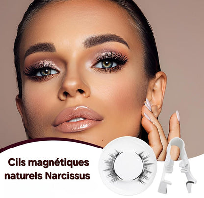 Cils Magnétiques